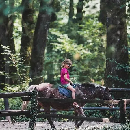 Du - Paddock Chevaux - Etang Coco Holiday home Sille-le-Guillaume