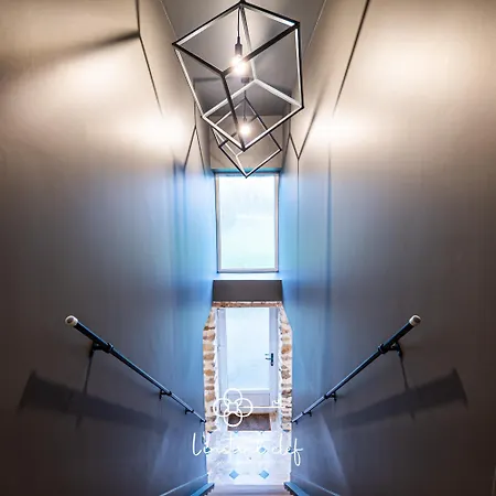 Du - Paddock Chevaux - Etang Coco Sillé-le-Guillaume