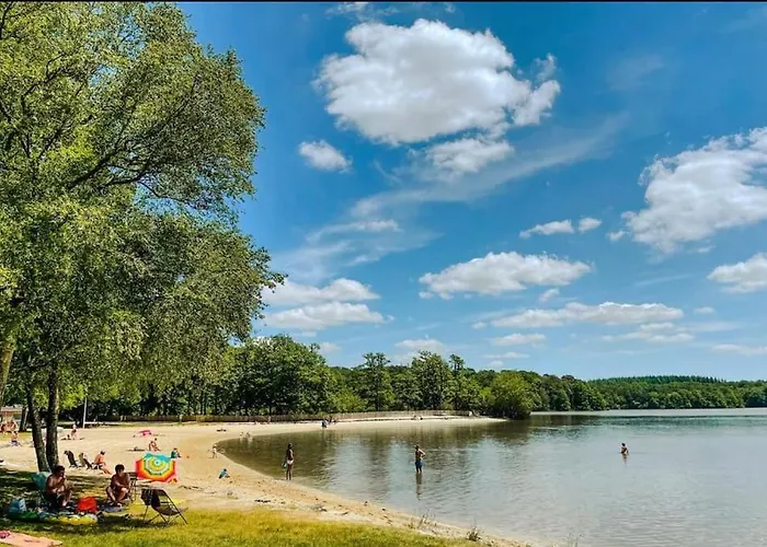 Du - Paddock Chevaux - étang Coco