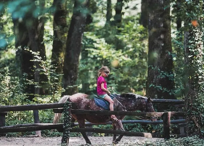 Du - Paddock Chevaux - étang Coco Hébergement de vacances Sillé-le-Guillaume