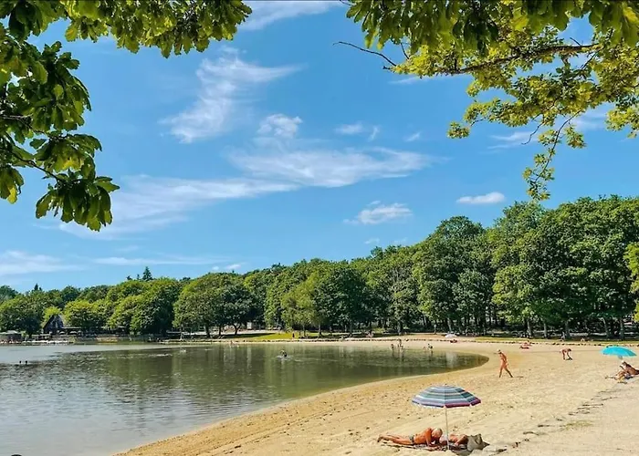 Du - Paddock Chevaux - étang Coco *