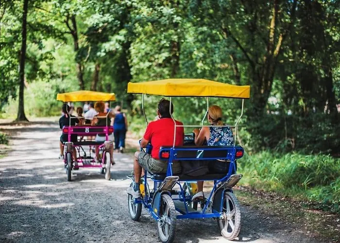 Hébergement de vacances Du - Paddock Chevaux - étang Coco