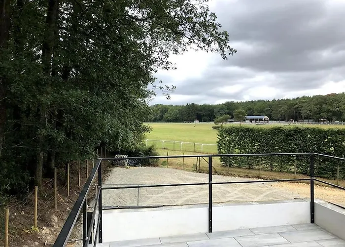 Du - Paddock Chevaux - étang Coco *