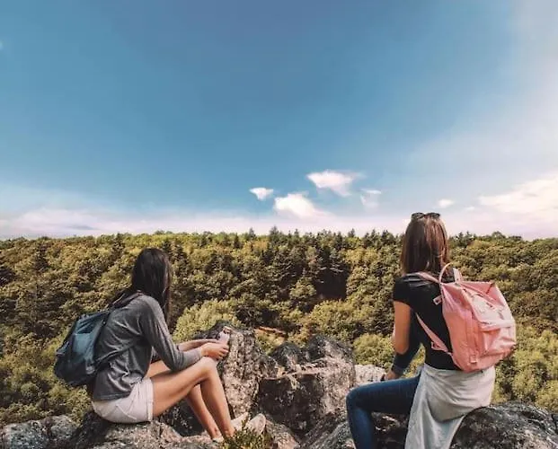 Du - Paddock Chevaux - étang Coco * Sillé-le-Guillaume